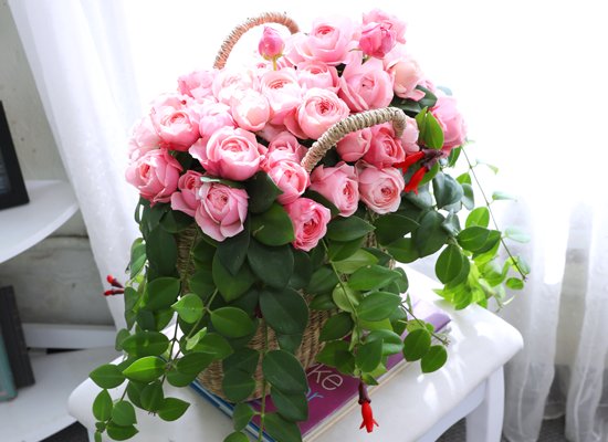 Romatic Rose ���� �ɹ��