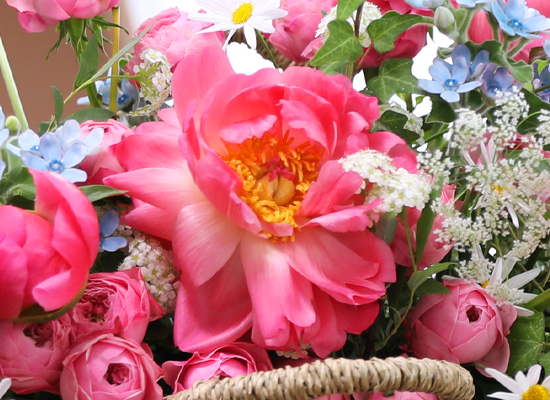 For Someone So Dear ���� �ɹ��