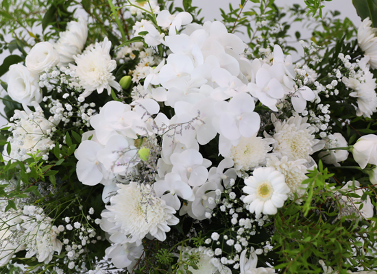 With Deepest Sympathy ���� �ɹ��