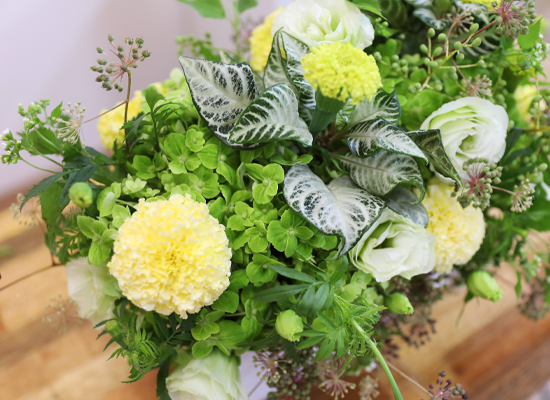 �ʷ� �� ��� ���� �ɹ��