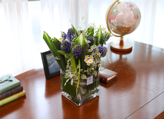 ���� ���� ���� ���� �ɹ��