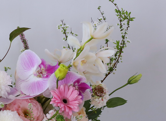 ������ ��ȫ�� �µ� ���� �ɹ��