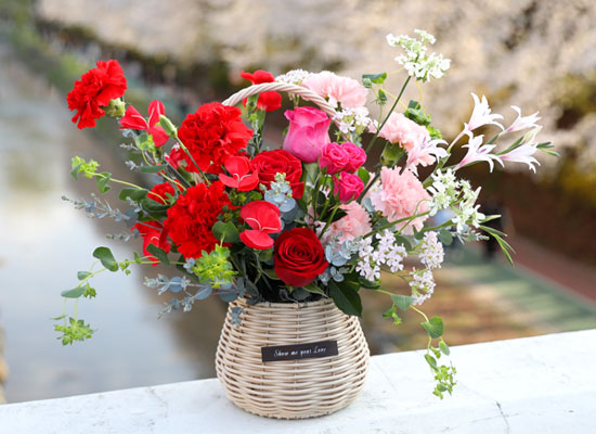 ���� ����� ��� - ������ ���� ���� �ɹ��