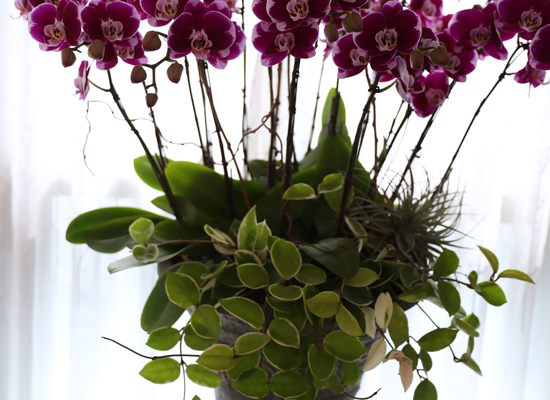 ���ֺ� �� �� �ɱ׸� - ������ �� ���� �ɹ��