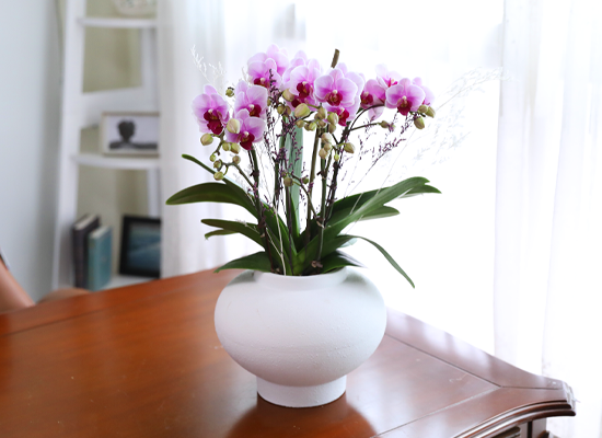 ��äȭ ���� ��ũ �޺� - ������ �� ���� �ɹ��