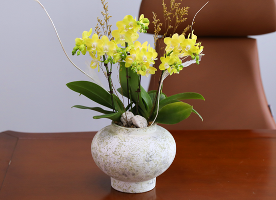 ����� ������ �� - ������ �� ���� �ɹ��