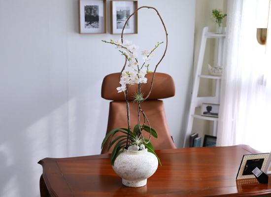 ������ �޹��� - ������ �� ���� �ɹ��