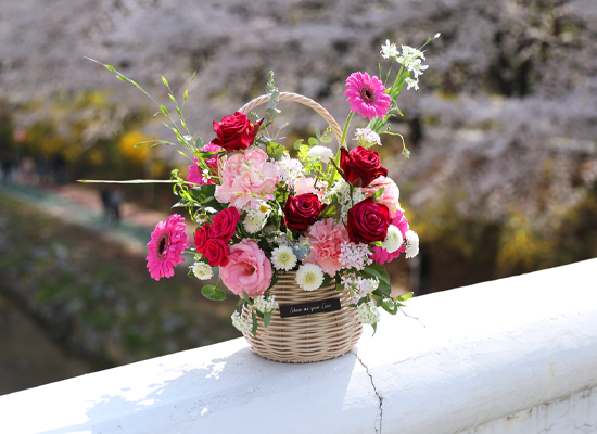 ��ũ �ȷ�Ʈ �Ҹ� - ���� ī���̼� ���� �ɹ��