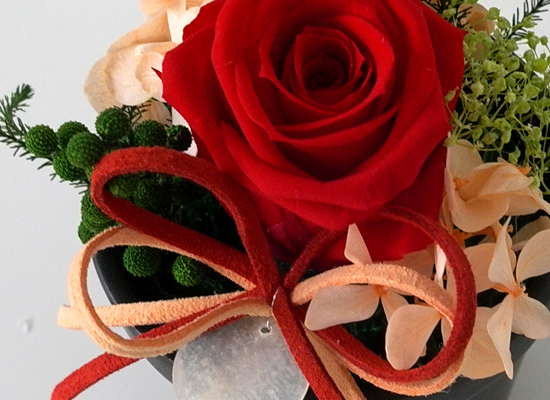 Endless Love - ����&���� ���� �ɹ��