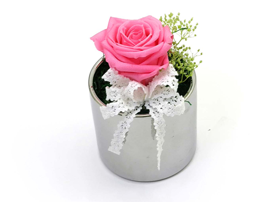 Endless Love - �ǹ�&��ũ ���� �ɹ��