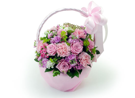 [�ù��ǰ] ��� ������ 5�� - Romantic carnation ���� �ɹ��