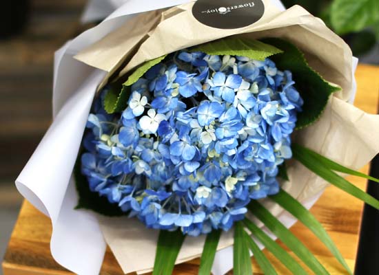 [�ù��ǰ]Fun florals by - ���緹�̵� ���� �ɹ��