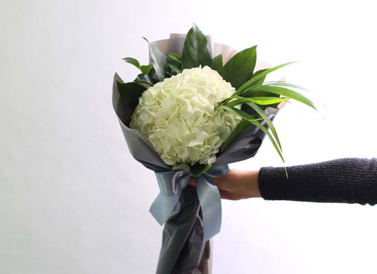 [�ù��ǰ]Fun florals by - �������� ���� �ɹ��
