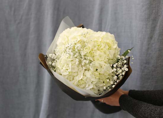 [�ù��ǰ]Fun florals by - ��ſ����� ���� �ɹ��