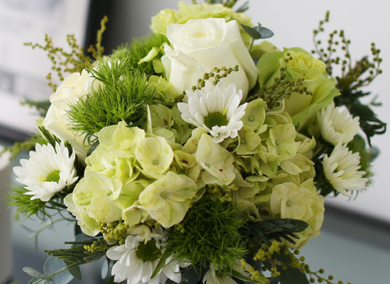 Fresh spring flower Whihe Blossom ���� �ɹ��