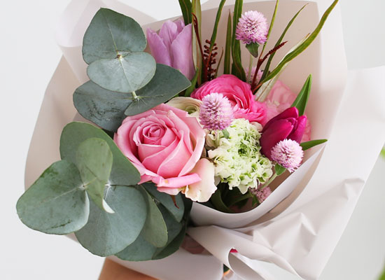 [�ù��ǰ]Fresh spring flower Magenta Hime ���� �ɹ��