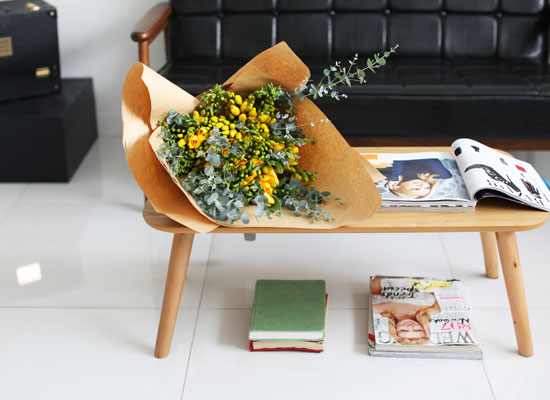 [�ù��ǰ]Fresh spring flower Hope of feather ���� �ɹ��