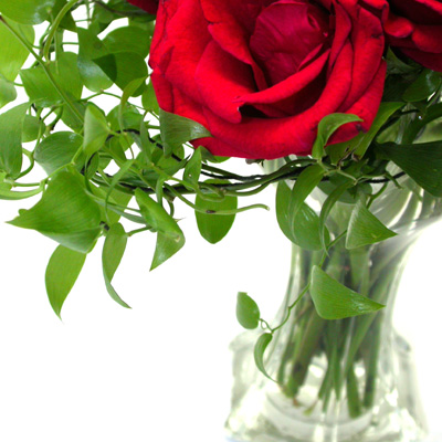 You are my heart  ɹ