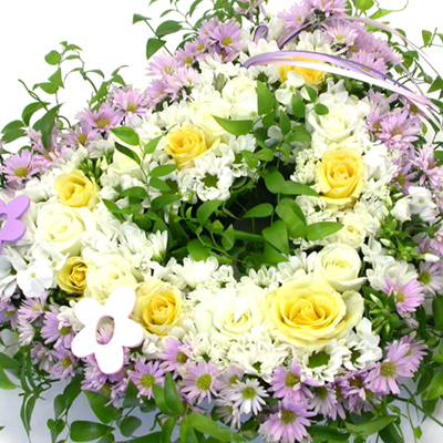 White Love  ɹ