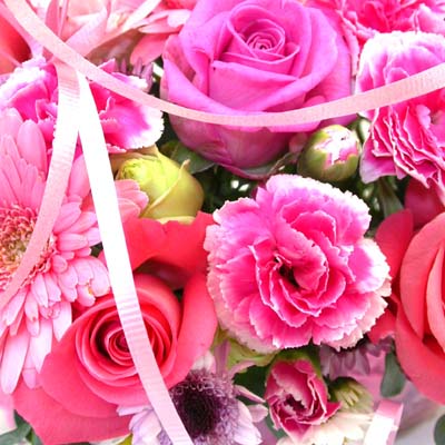 Romantic Pink  ɹ