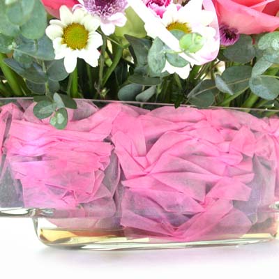 Romantic Pink  ɹ