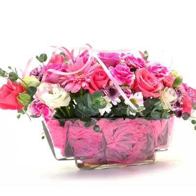 Romantic Pink  ɹ