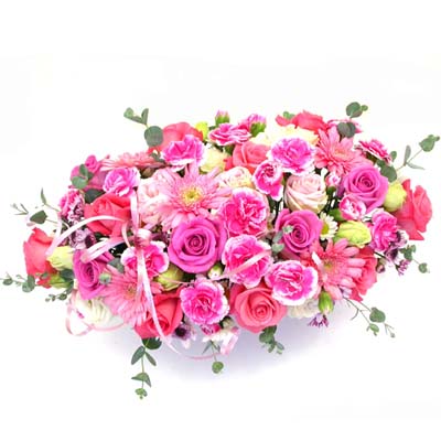 Romantic Pink  ɹ