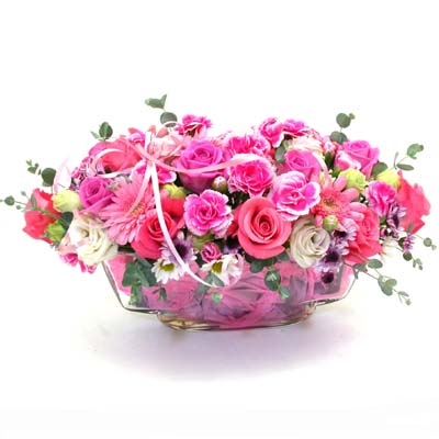 Romantic Pink  ɹ