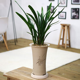 ±×¸°³ª·¡ º¸¼¼