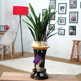 ÀλçÀ̵¿Ãßõ º¸¼¼ ( ¿ëºÐ )