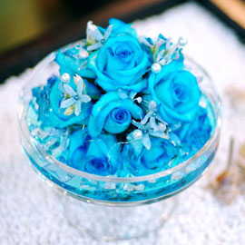 []ƽ  - Lightblue ɹ 