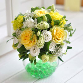 []Lovely lover - Green bubble ɹ 