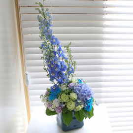 Made in 20 flowers - Green&blue ɹ 