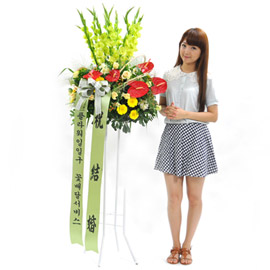 [플라워119 디자인화환] 레드포인트 축하화환 꽃배달 꽃집