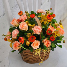[] ŭ ܿ  - Happy winter orange ɹ 
