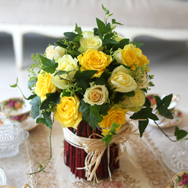 [] Beautiful colors - Yellow Roses(ȭ   ֽϴ) ɹ 