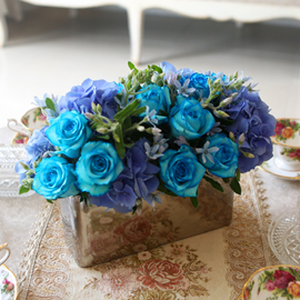 [] Beautiful colors - Silver Blue ɹ 