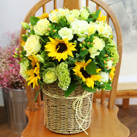 sunflower - ÇØ¹Ù¶ó±â Çѹٱ¸´Ï