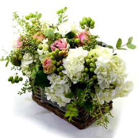 ¾Æ¸§´Ù¿î Àλý