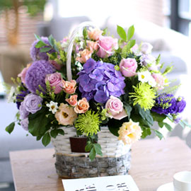 프쉬케 어느날 - 사랑의 보라 빛깔들 꽃배달 꽃집