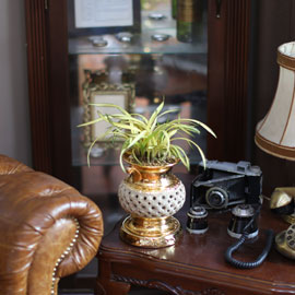 ½ÂÁøÀ» ÃàÇÏÇÕ´Ï´Ù - µû¶æÇÑ ÇÞºûÀ» ¹ÞÀº ¾ç±¤