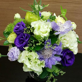 ¶óÀÓ°ú º¸¶óÀÇ Äݶ󺸷¹À̼Ç