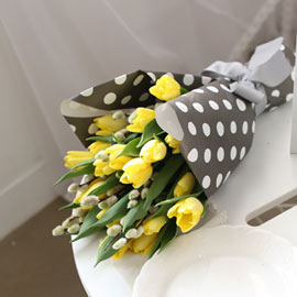 Fresh spring flower Yellow tulips ɹ 