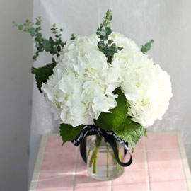 '(必)환경’시대 오아시스없는 플라워화병 -White hydrangea 꽃배달 꽃집