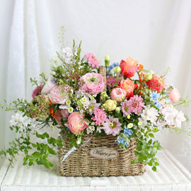 Roseday - ������ ������ �Ǿ�