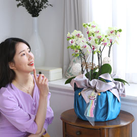 [서울] 정성이 느껴지는 보자기 포장 - 봄빛 그린베어 (중) 꽃배달 꽃집