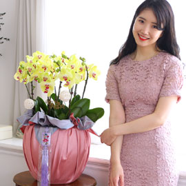 [서울] 정성이 느껴지는 보자기 포장 - 노랑호접란 (대) 꽃배달 꽃집