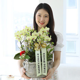 [서울,수도권]존경하는 마음 담아 - 호접란선물 포춘(특) 꽃배달 꽃집
