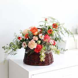 [늦봄에서 초여름의 빛] - Eternal Sunshine 꽃배달 꽃집