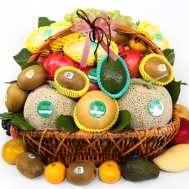 Love Fruit Basket - ǰ Ϲٱ [ö119-8ȣ] ɹ 